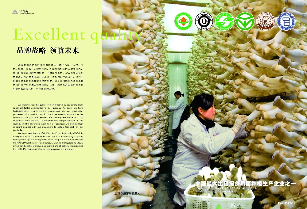 蔬菜基地(dì / de)